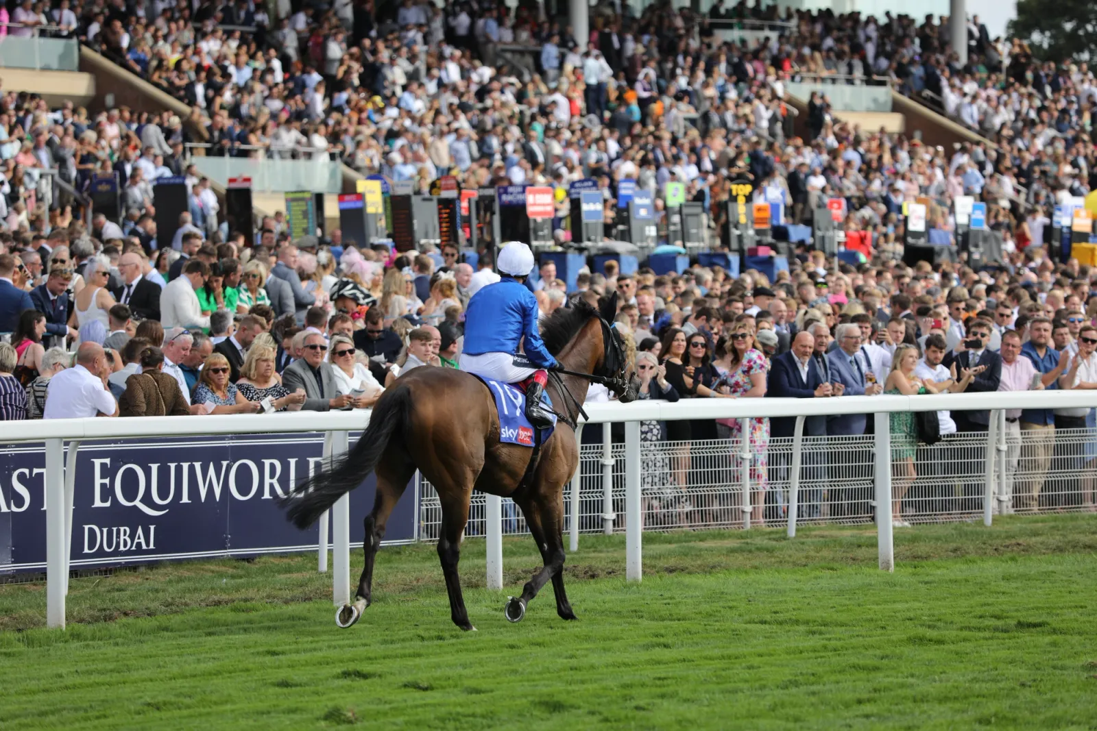 A runner passing the packed stands at York, with racegoers in summer dresses and jackets along the rail.