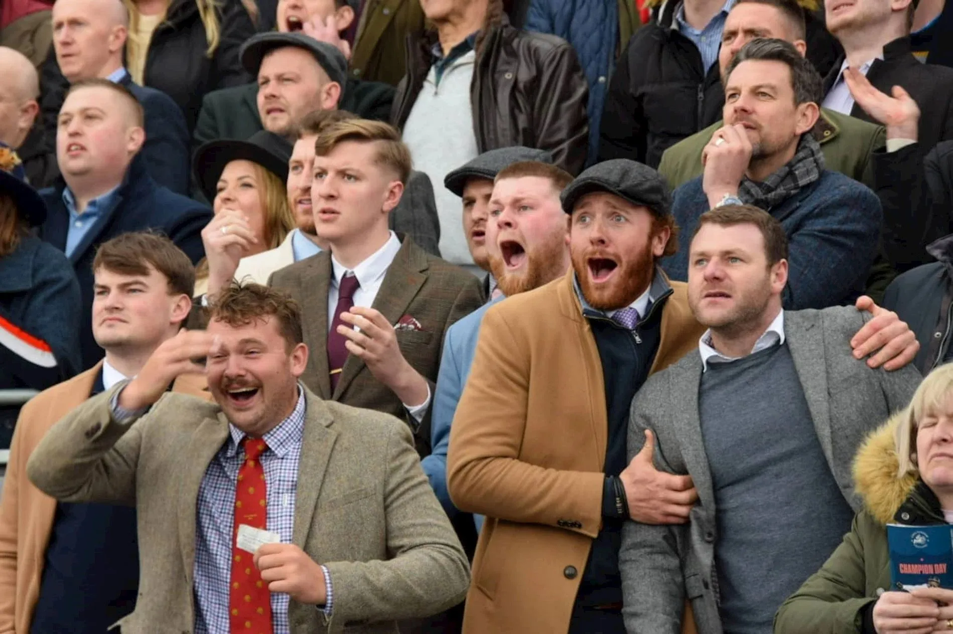 Racegoers in tweed jackets, shirts and ties shouting in the crowd at Cheltenham.