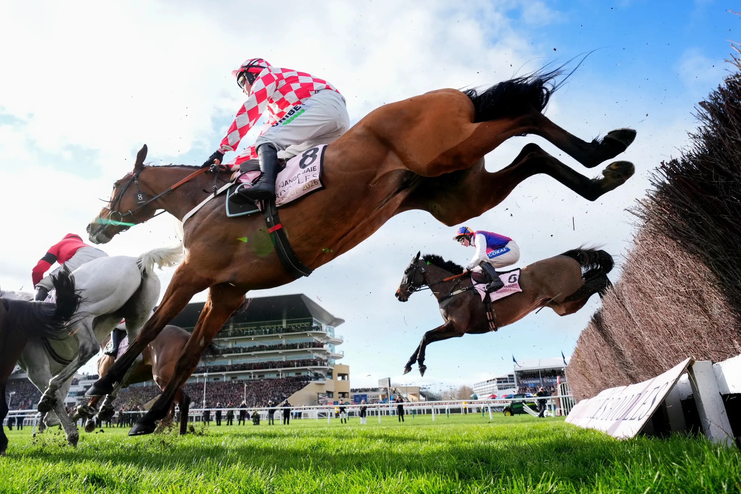 Steeplechasers and their jockeys jumping a fence at Cheltenham. The grandstand rises in the distance.