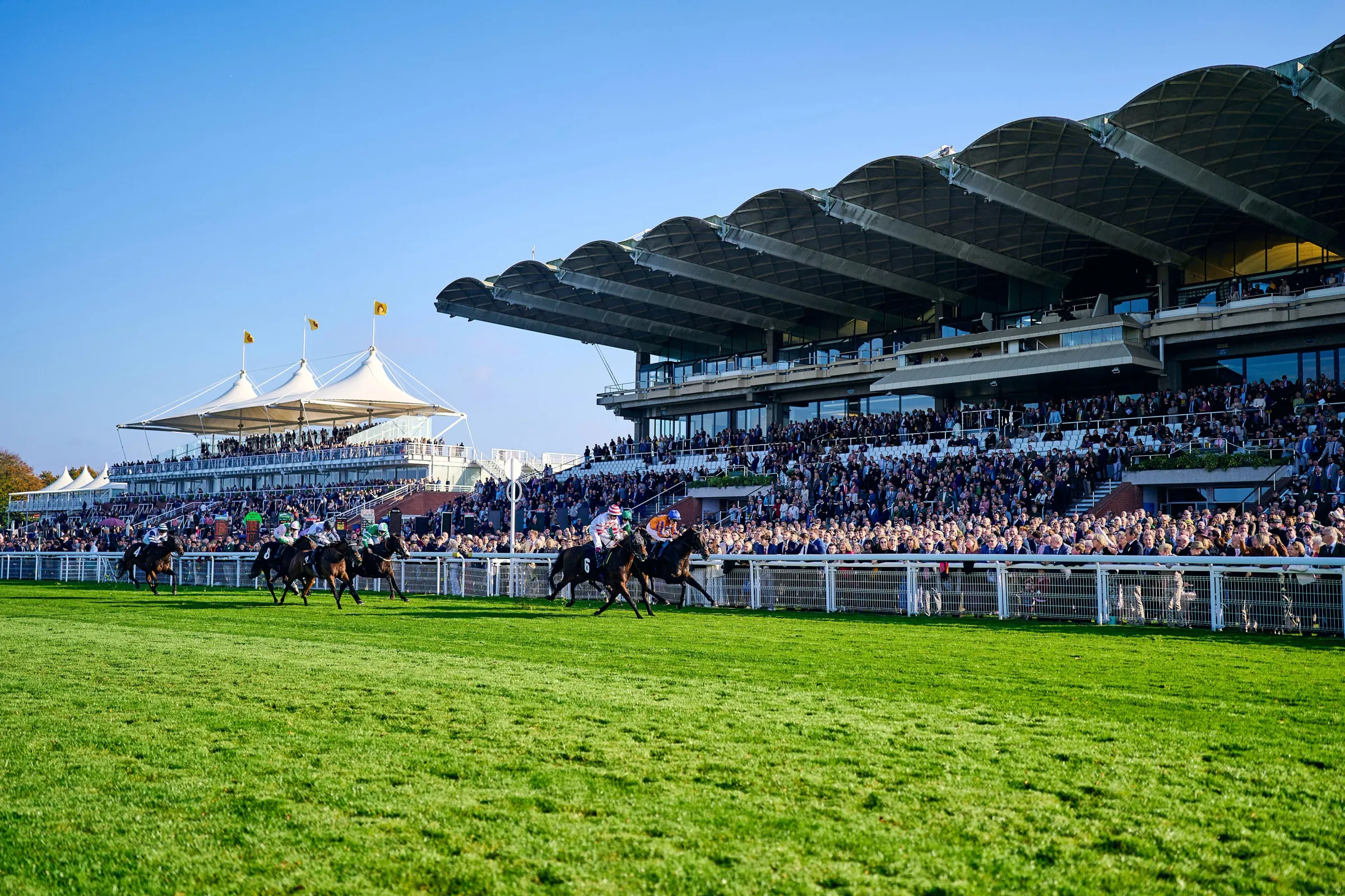 Runners racing past the grandstands at Goodwood on a clear day. The white canopies of the stand roofs rise behind them.