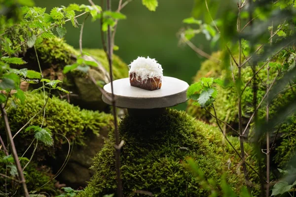 A plated course presented among greenery at L’Enclume