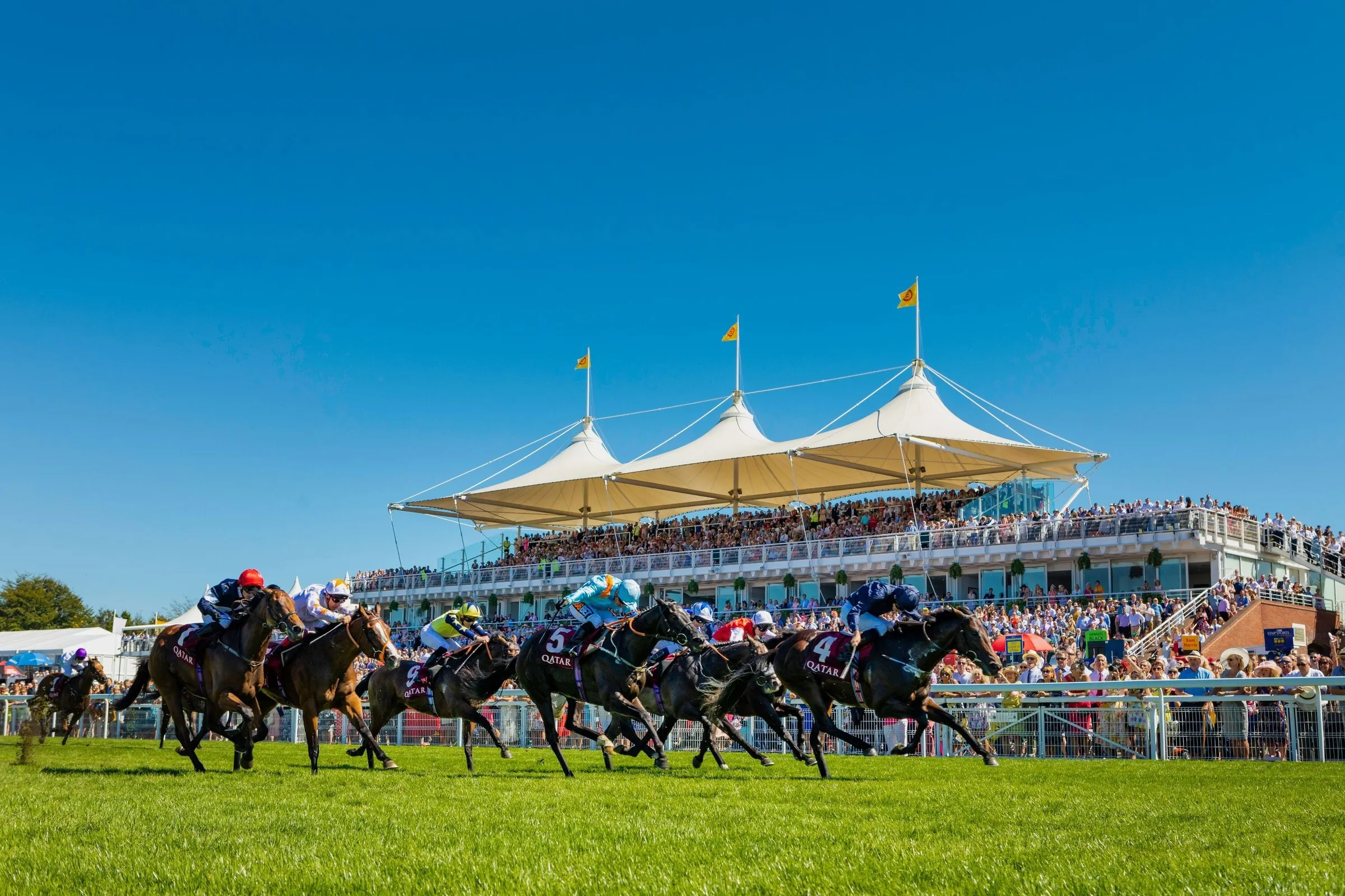 Horses racing towards the camera at Goodwood, with the white canopies of the stands behind them under a blue sky.
