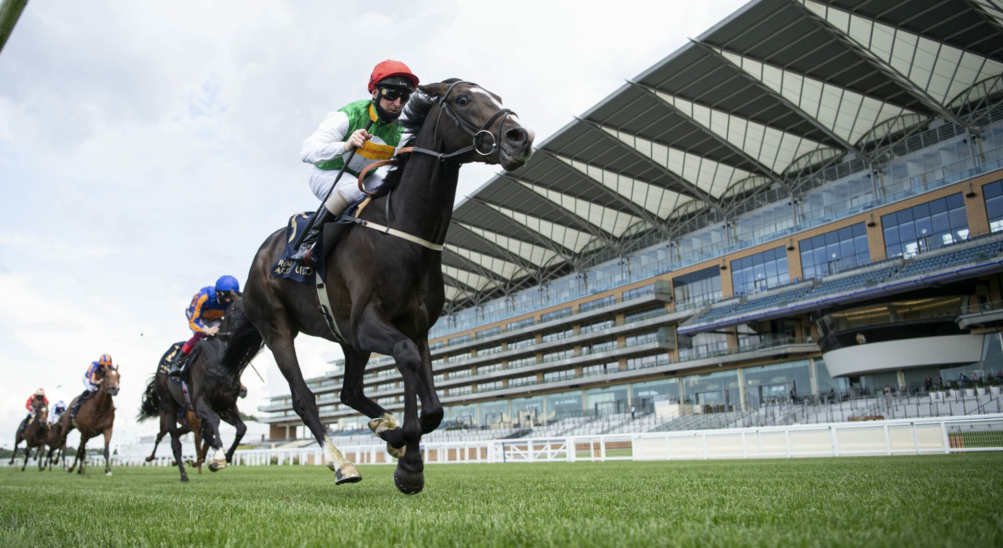 Image of horses racing on the race track at Ascot