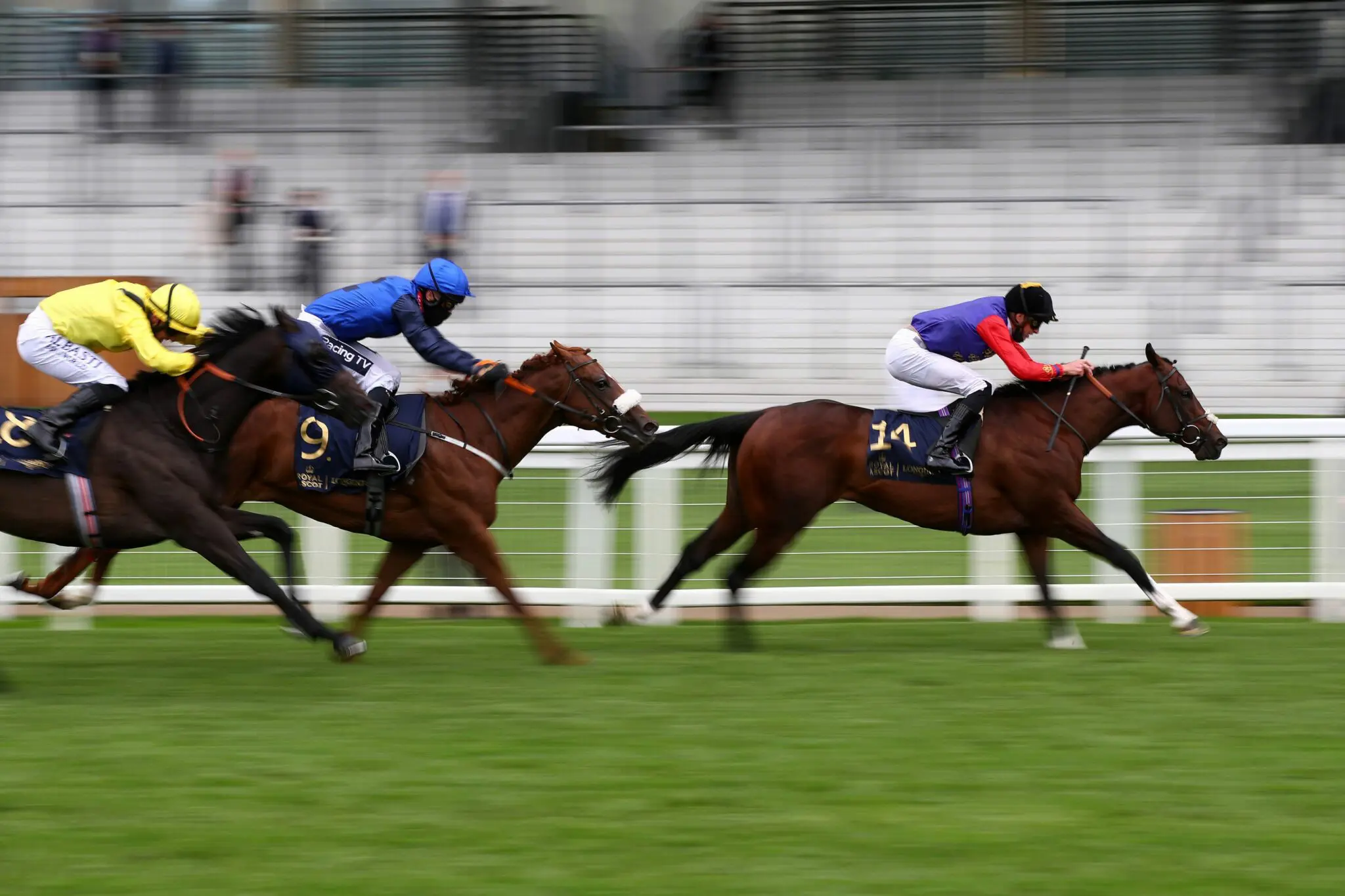 Image of horses racing of the track at Ascot