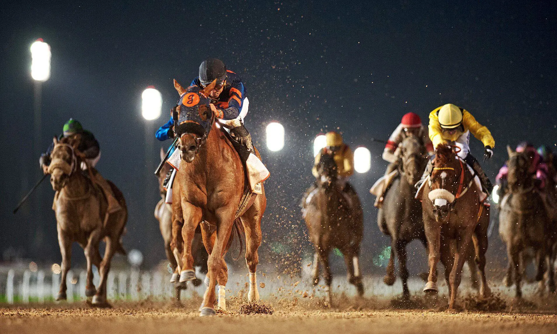 Image of horses racing on the track in Dubai