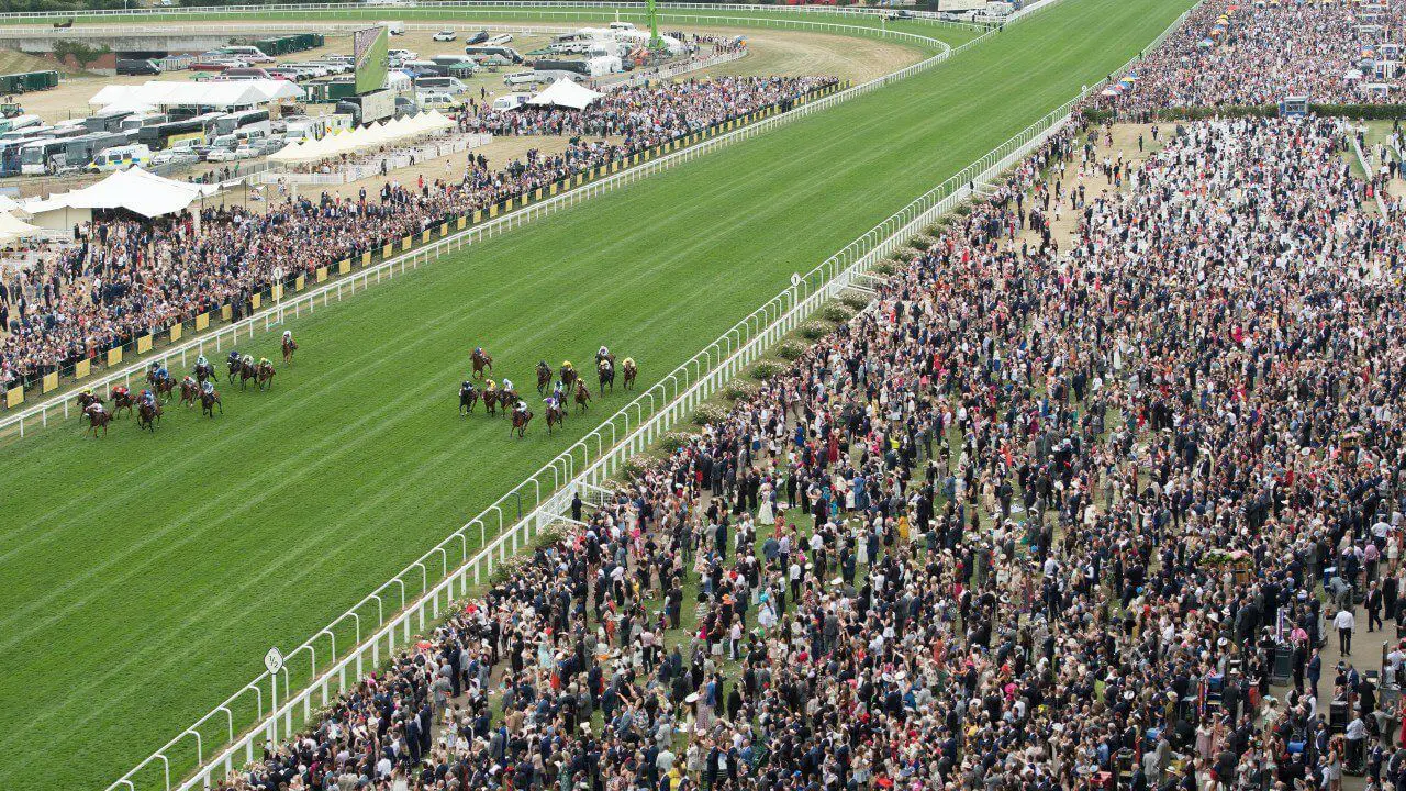 Image of horses racing on the ascot racecourse with a large crowd watching