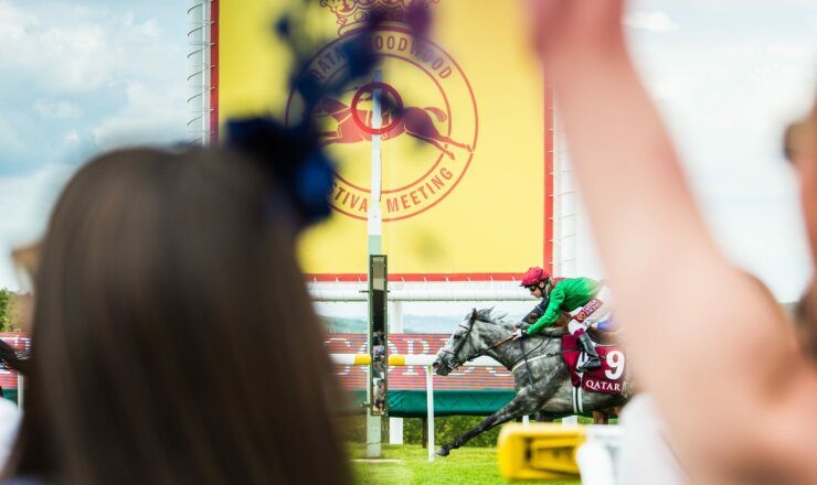 Close to the action at Qatar Goodwood festival