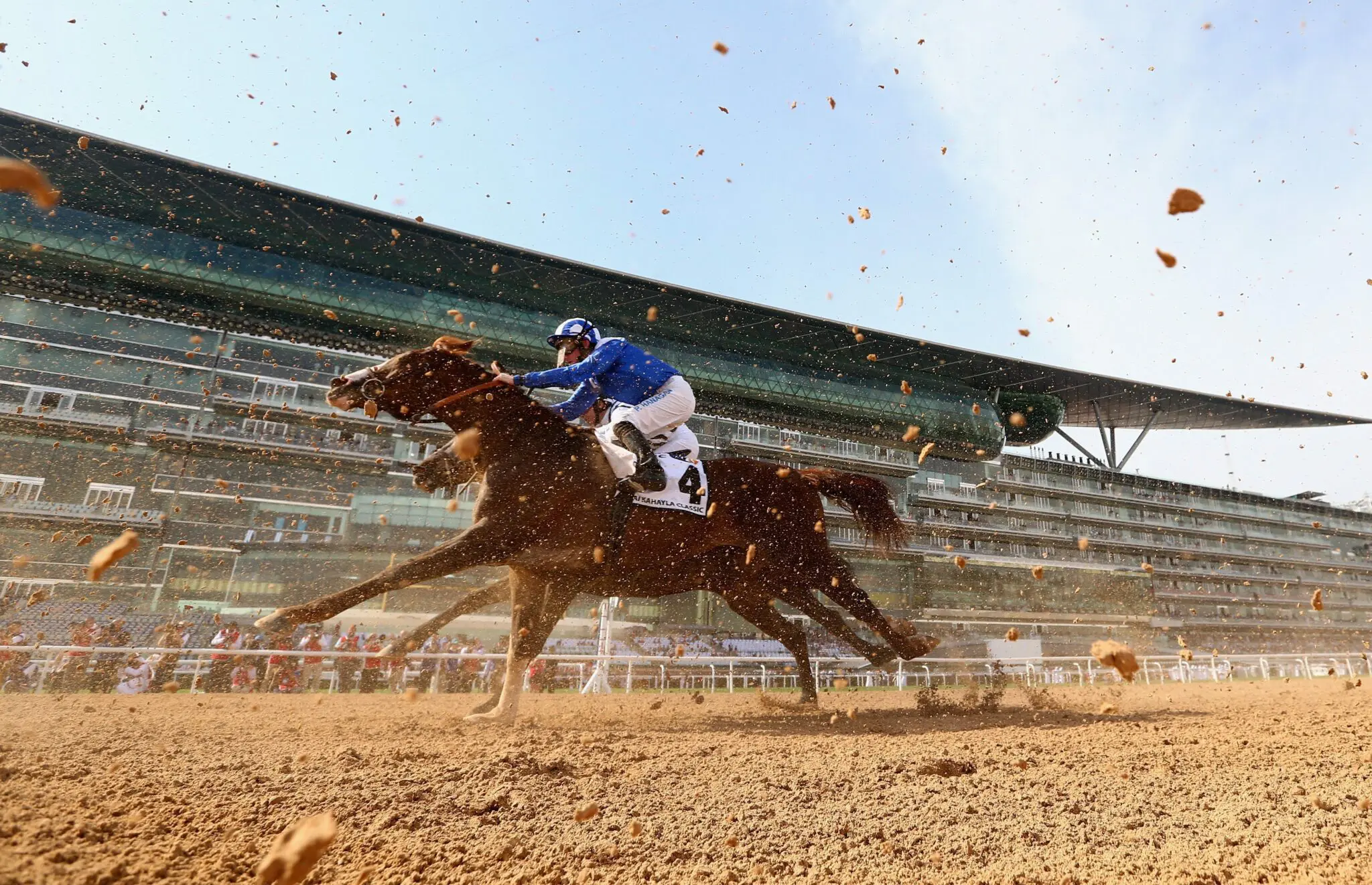 Horse racing on the Dubai race track