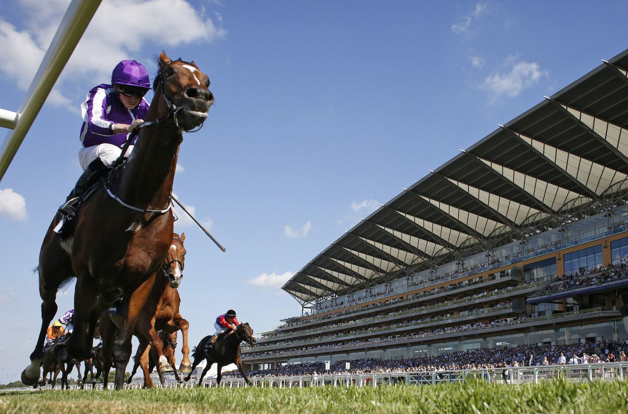Image of jockey on a horse riding on the racetrack at Ascot