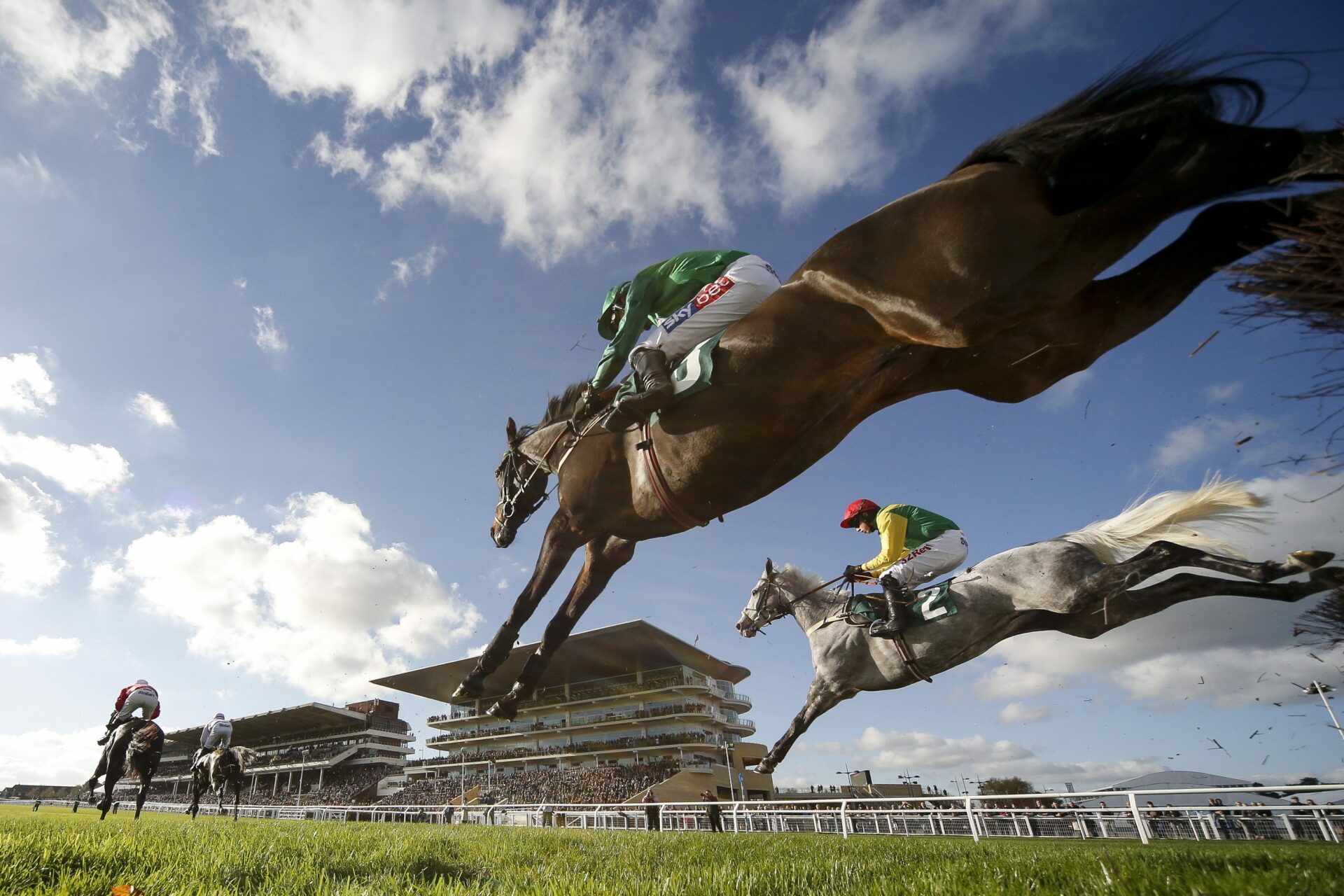 Image of a horse jumping for a ground view with the grandstand in the background