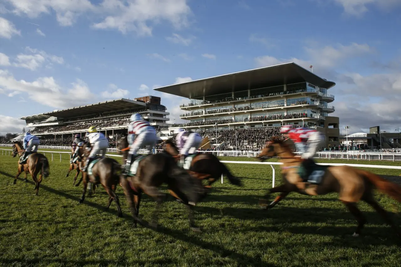 Image of horses racing at Cheltenham with the grandstand in the background