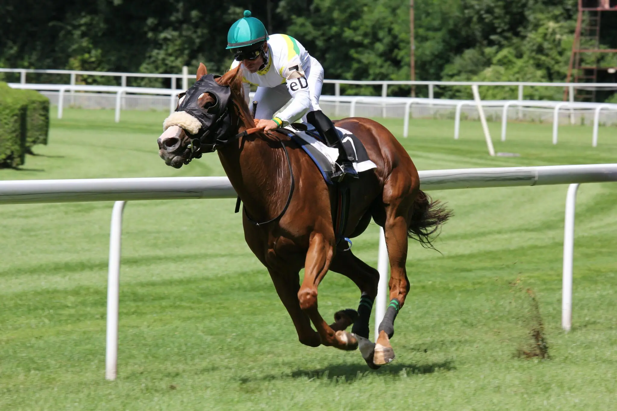 Jockey racing on a horse