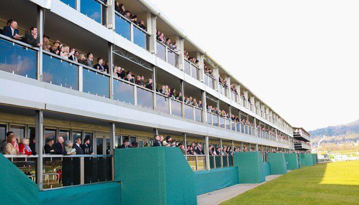 Image of guests in private box watching the race