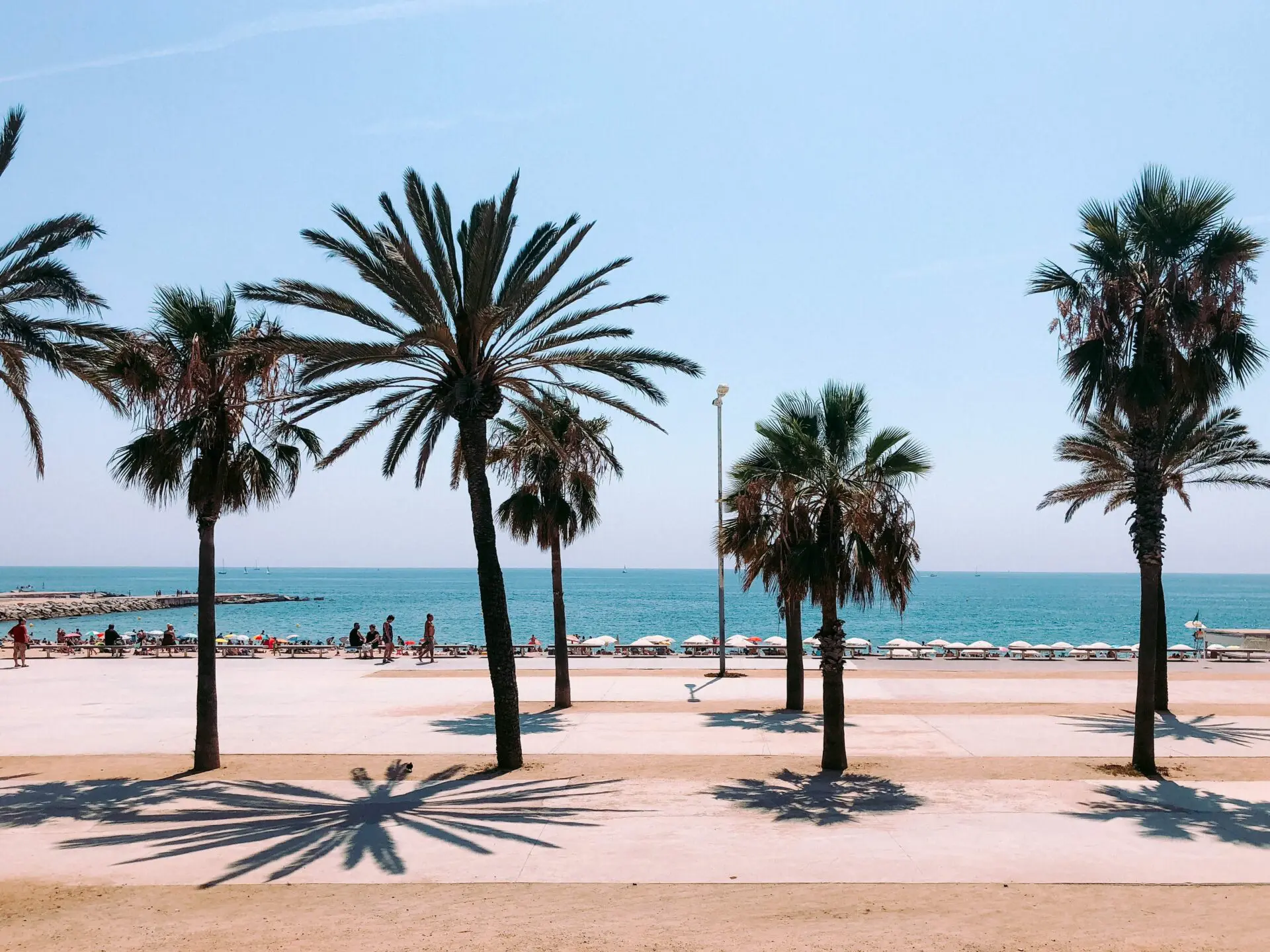 Sunny beachfront in Barcelona with palm trees and a sea view