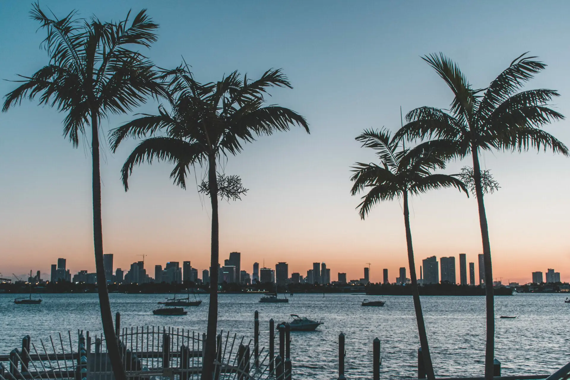 Image of the Miami skyline at sunset with palm trees and the sea
