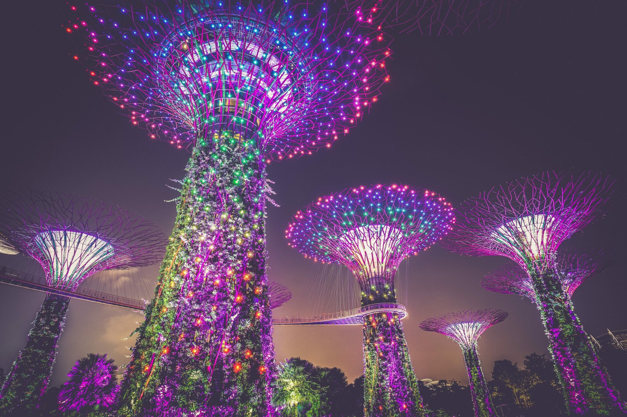 Gardens by the bay at night in singapore