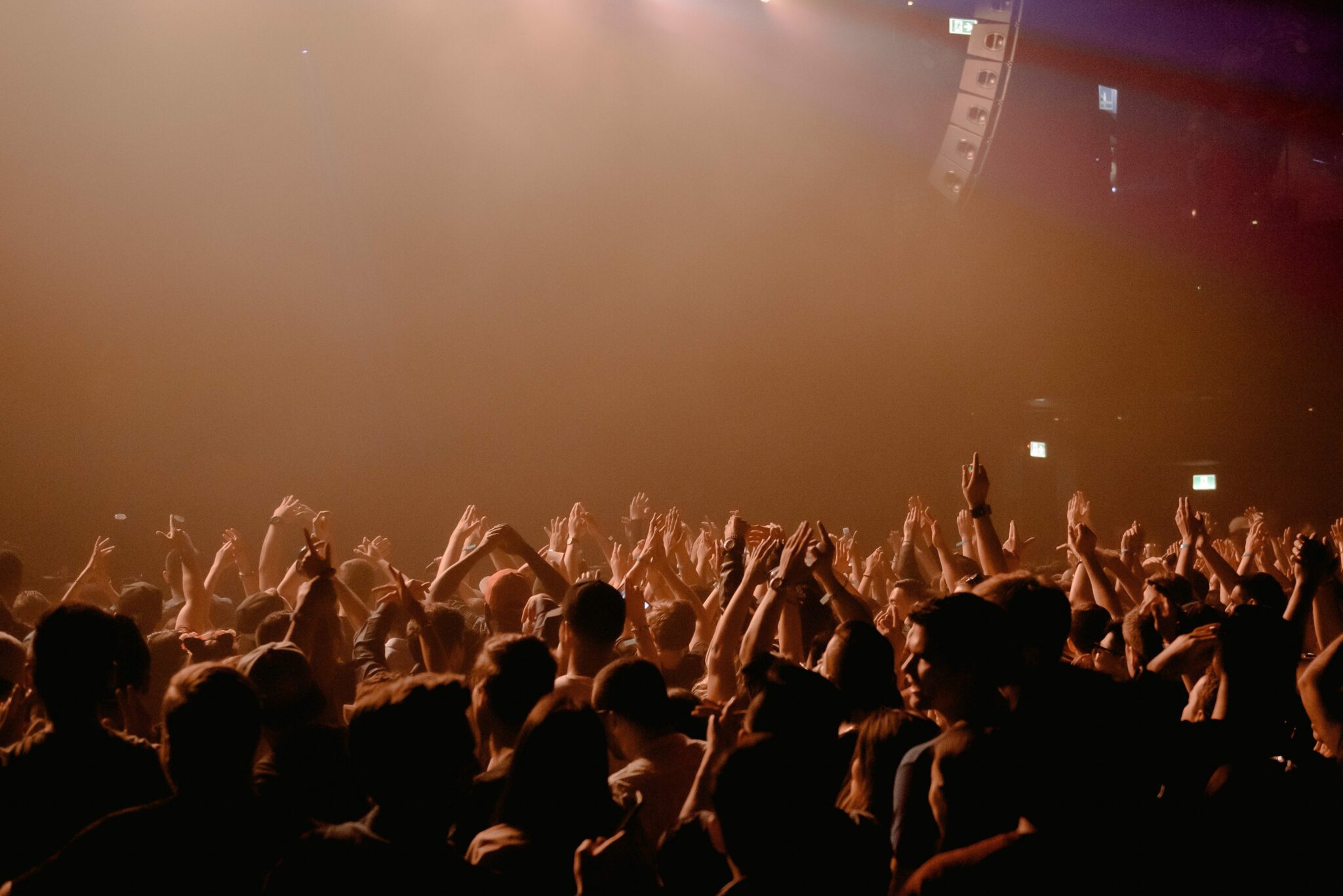 Audience dancing at a concert